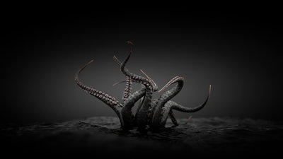 BSTrib_v1