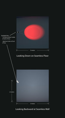 Octane Scale Test LoR.jpg