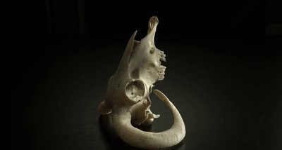 octane-houdini.jpg