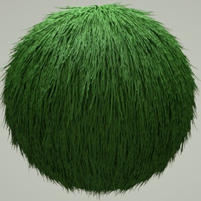 just a hair test only