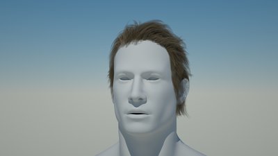 softer_hair_render.jpg