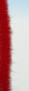 redhairPreview.JPG