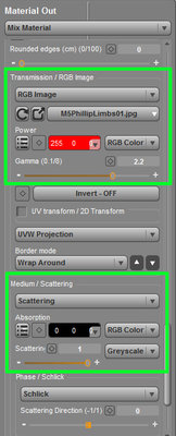 Transmission and Scattering for the &quot;limbs&quot;.
