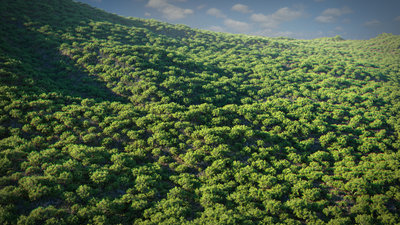 Scatter_anim_test0020.jpg