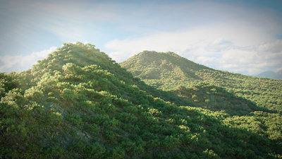 Scatter_anim_test0301.jpg