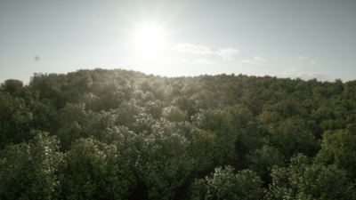 Speed_Tree_anim_v03.0565.png