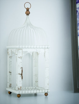 Cage.jpg