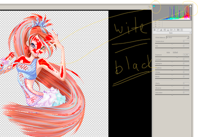 2015-05-05 11-11-07 Camera Raw (Untitled-1).png