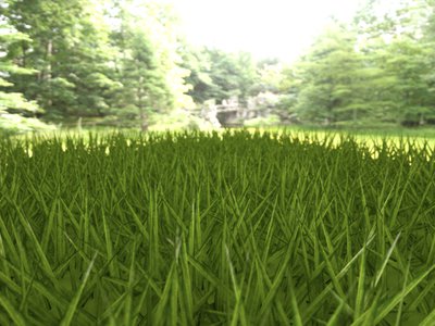 Herbe_PathT_FilterOn.jpg