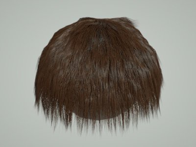 HairShineTest.jpg