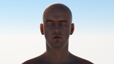 Skin_1.jpg