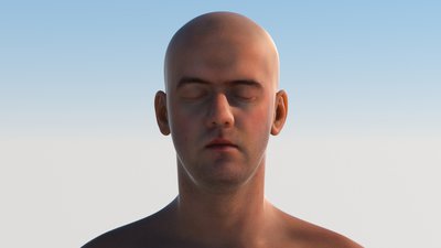Skin_3.jpg