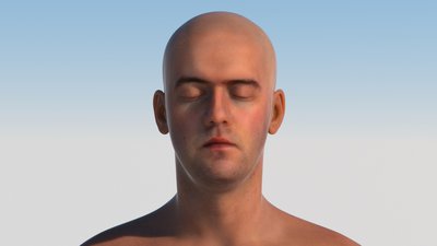 Skin_4.jpg