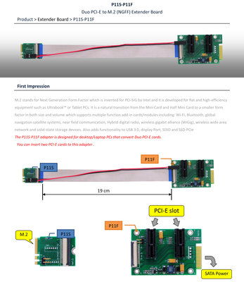 P11S-P11F_01.jpg