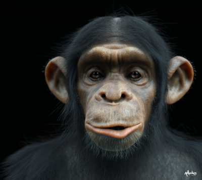 chimp4.png