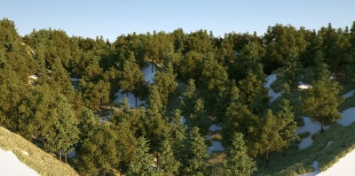 tree2.jpg