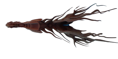 fishy7.png
