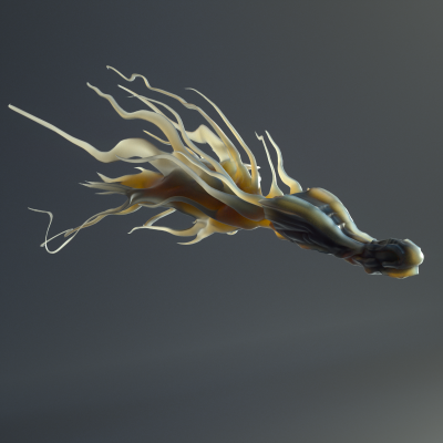fishy4.png