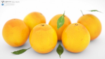 VP_Fruit_LW_PROMO_1.jpg