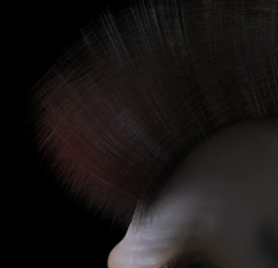 BadHairDetail.jpg