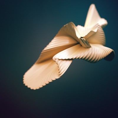 dove_web.jpg