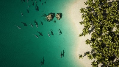 Shark island top.jpg