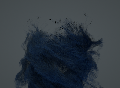 hair.png