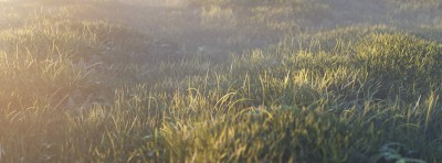 Render1.jpg