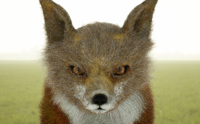With density map on face hair