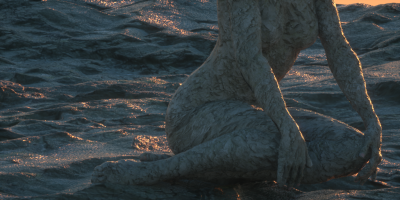 bump + displacement
