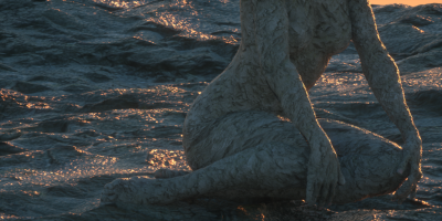 normal 2 + displacement