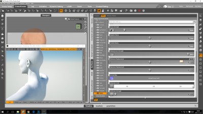 Displacement for Victoria 6 - 3Delight - DAZ Studio surface tab.jpg