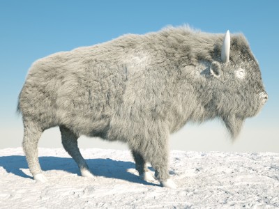 bison render clay.jpg