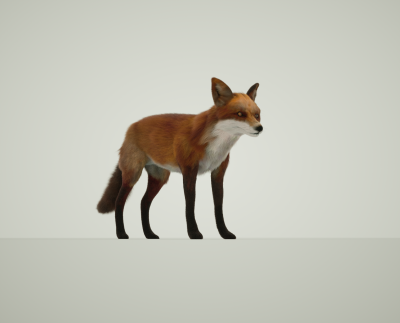 fox.png