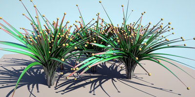 strands2.jpg