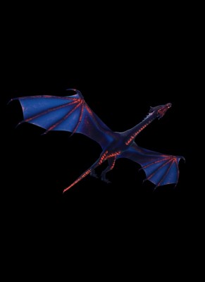 Dragon3.jpg