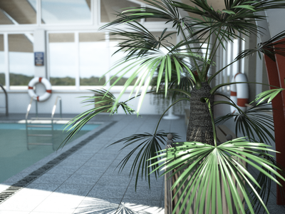pool 19.png