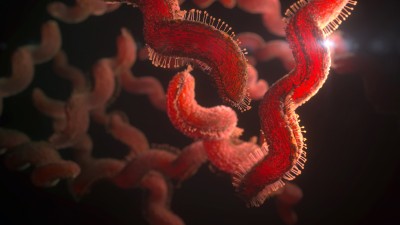 Bacteria.jpg