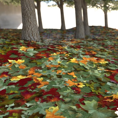mutly_forest_pack.jpg