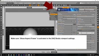 Aspect Frame - DAZ Studio viewport options v1002.jpg