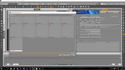 ORIB frame previews not showing.jpg
