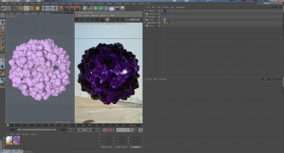 Capture1.JPG
