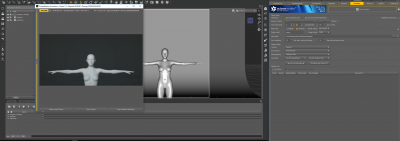 Animation Render