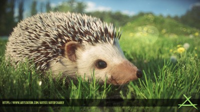 render1.jpg