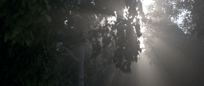 same scenefile, different trees and lots of noise at 3000 Samples PT