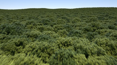 motionTest1.jpg