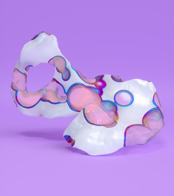 bone_01_0000.jpg