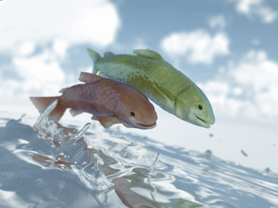 final_fishies1.gif