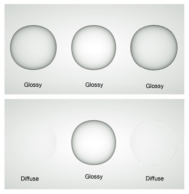 Glossy_bug.jpg
