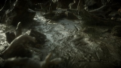 Test_Megascans.jpg